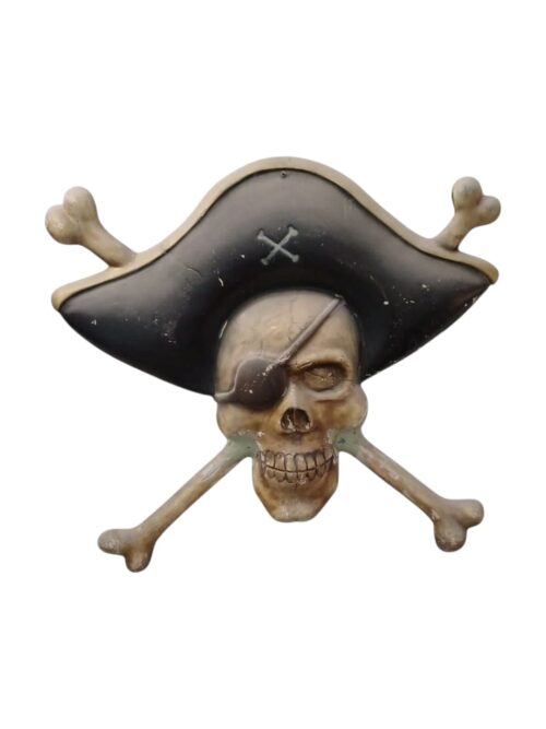Cráneo pirata.