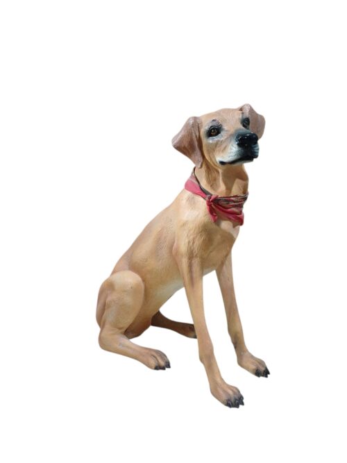 Perro