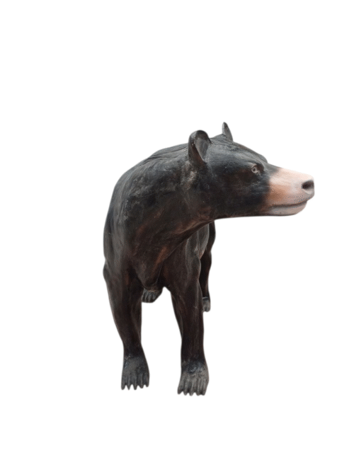 Oso pequeño