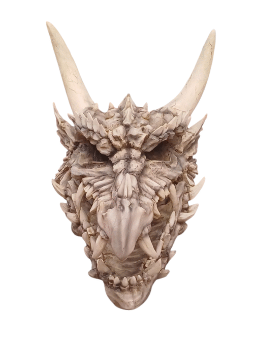 Craneo de Dragon