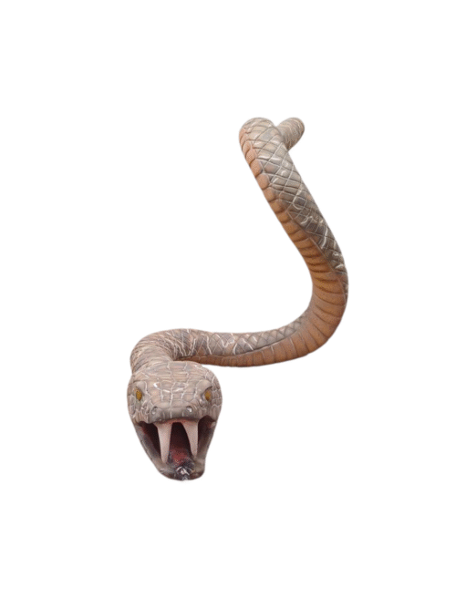 Cobra