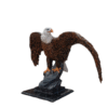 Aguila Real