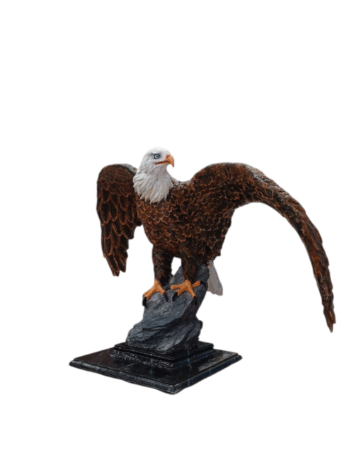 IMG_2576364327419845067 Aguila Real
