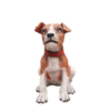 Perro chiquito