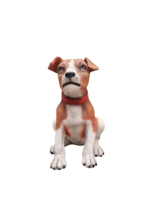 Perro chiquito