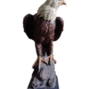 Aguila