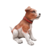 Perro chiquito