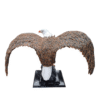 Aguila Real