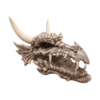 Craneo de Dragon