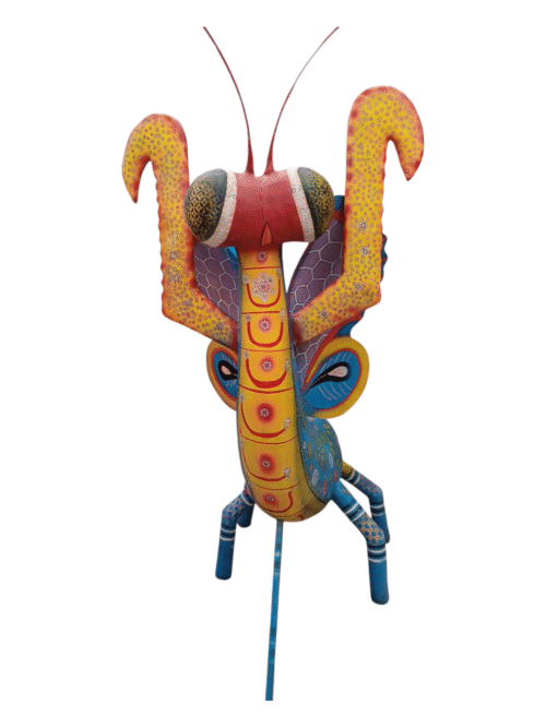 IMG_5770421821911357235 Alebrije Mantiz