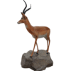 Antilope