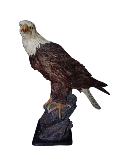Aguila