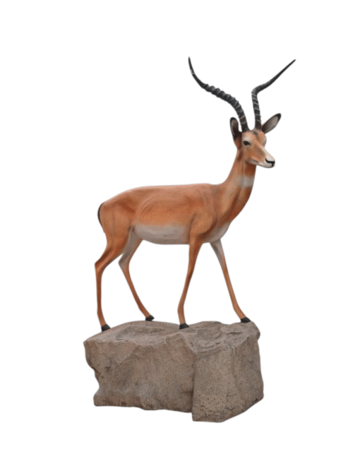 Antilope
