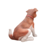 Perro chiquito
