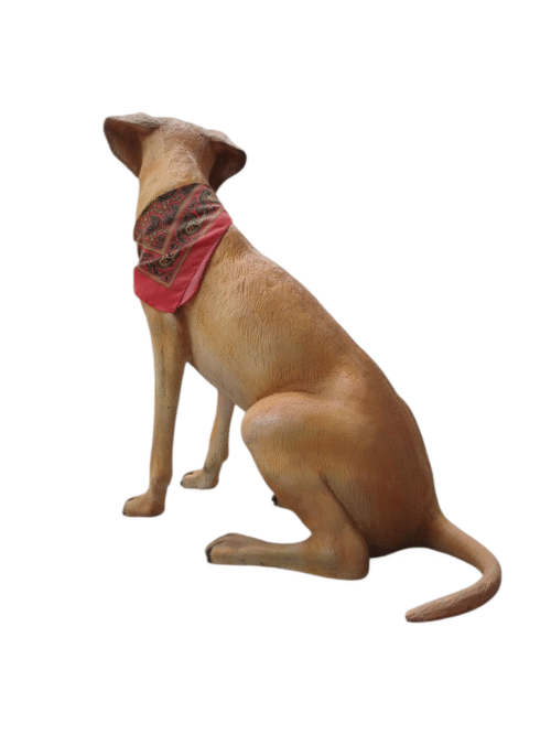 Perro